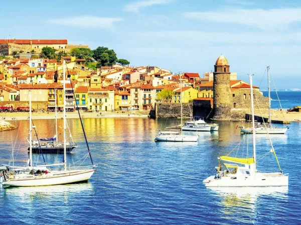 Le Port de Collioure na Roan kempingu Les Dunes.