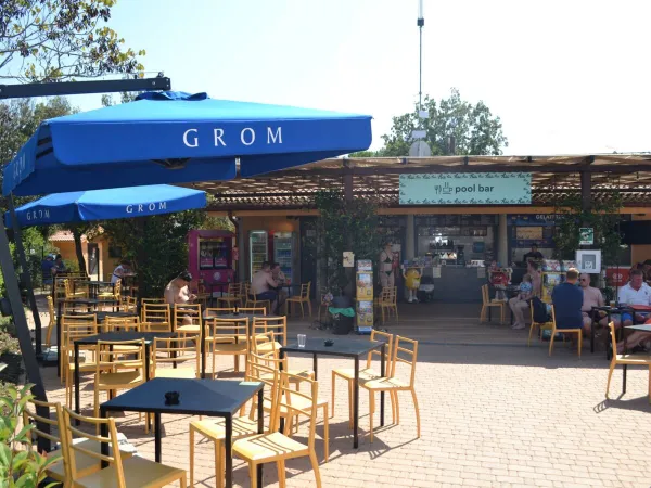 Bar przy basenie na kempingu Roan hu Montescudaio village.