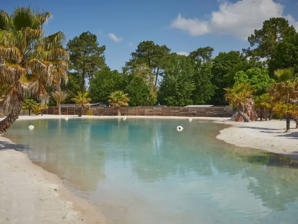 Tropikalny basen lagunowy z palmami i piaszczystą plażą na kempingu Roan La Clairière