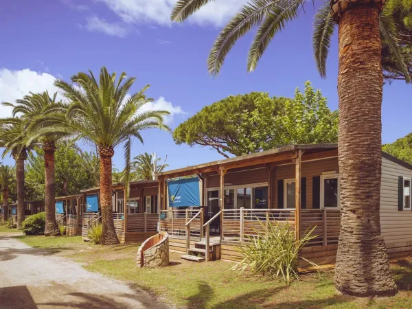 Domki mobilne wśród palm na kempingu Roan Playa Montroig.