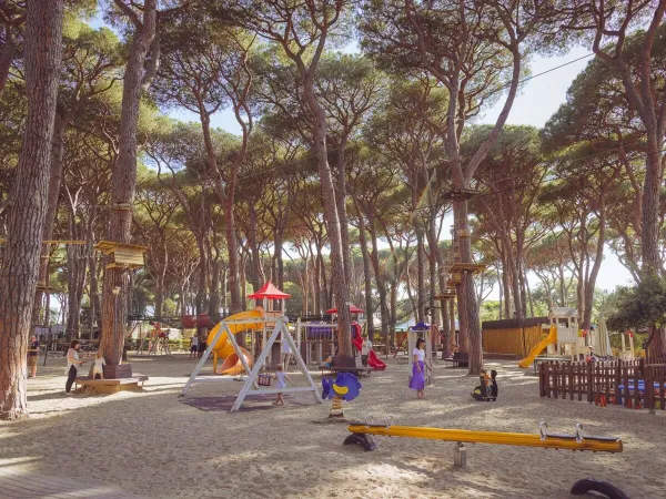 Plac zabaw i tor wspinaczkowy w parku kempingowym Roan hu Park Albatros village.