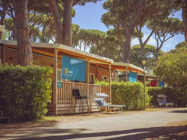 Ulica z 2 sypialniami w domkach mobilnych Premium Lounge w wiosce Roan camping hu Park Albatros.