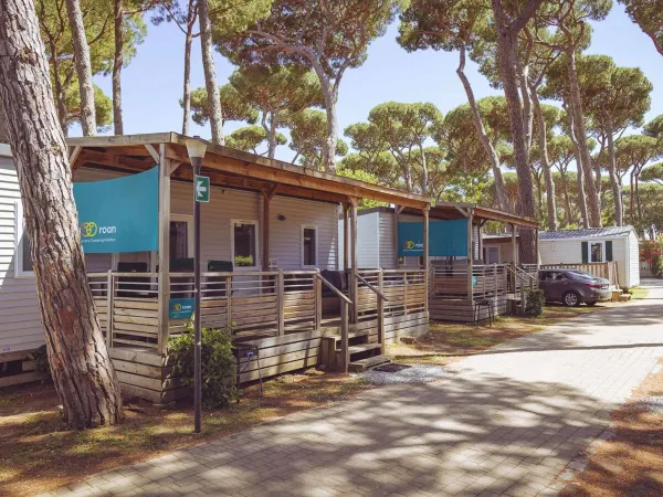 Premium Lounge domki mobilne z 3 sypialniami w Roan camping hu Park Albatros village.