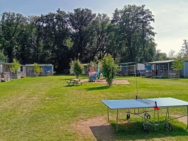 Pole Roan z placem zabaw i stołem do tenisa stołowego na kempingu Roan De Twee Bruggen.