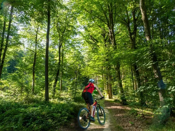 Kolarstwo górskie w pięknej okolicy w Luksemburgu na kempingu Roan w wiosce Birkelt.