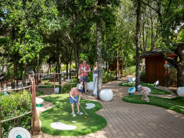 Mini golf na kempingu Roan w wiosce Montescudaio.