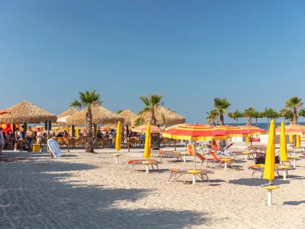 Plaża na kempingu Roan Spiaggia e Mare.