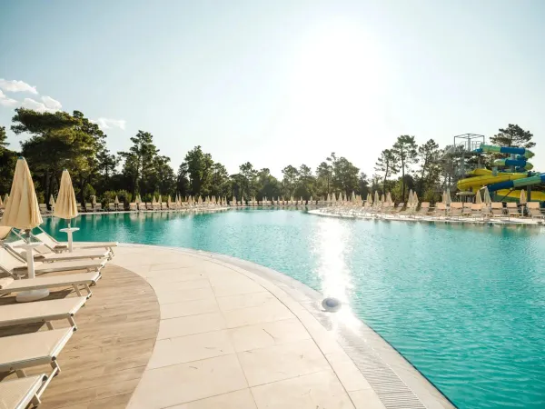 Nowy basen z leżakami i parasolami na kempingu Roan w Zaton Holiday Resort.