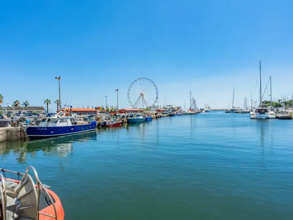 Miejscowość w odległości spaceru Saint-Cyprien, od kempingu Roan Le Soleil de la Méditerranée.