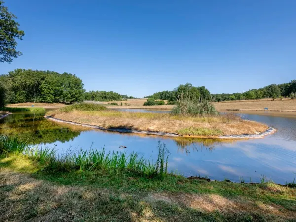 Woda w pobliżu kempingu Roan w Saint Avit Loiris.