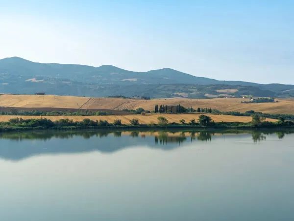 Piękny toskański widok na kempingu Roan Del Forte.