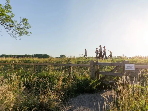 Spacer wśród bezpańskich owiec na kempingu Roan w Two Bridges.