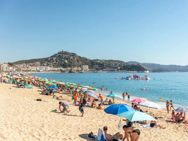 Ludzie opalają się na piaszczystej plaży w Roan Camping El Pinar.