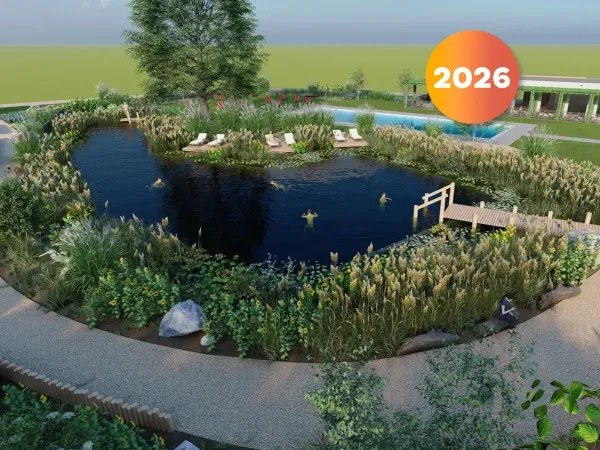 Naturalny staw do pływania na kempingu Roan De Twee Bruggen.