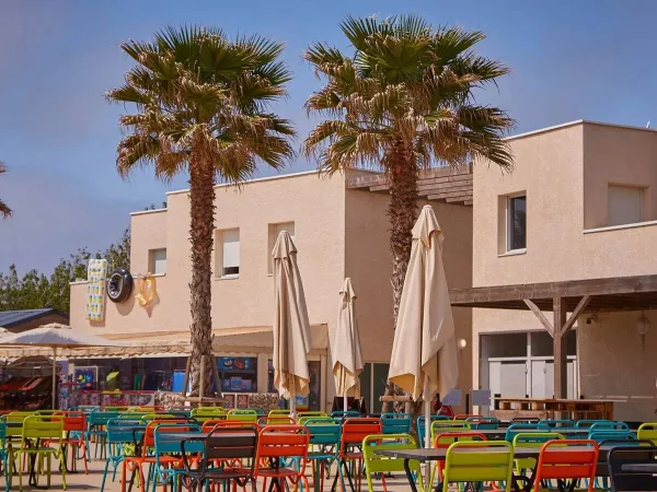 Kolorowy taras z palmami na kempingu Roan Le Petit Mousse.