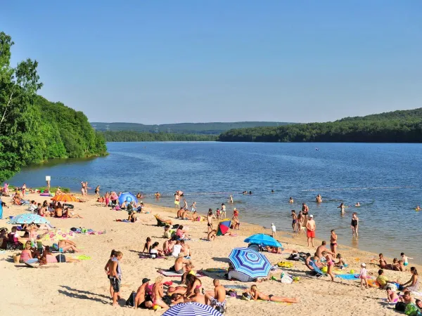 Rodziny opalają się na plaży nad jeziorem na kempingu Roan Le Lac des Vieilles Forges.