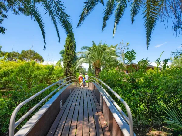 Kładka z zielonym ogrodem na kempingu Roan Arinella Bianca