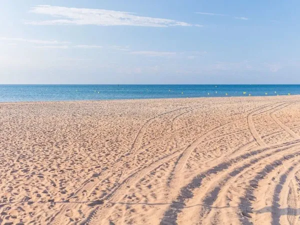 Plaża w pobliżu kempingu Roan Les Sablines.