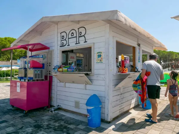 Bar przy basenie z lodami i napojami na kempingu Roan Marina Julia Camping Village.