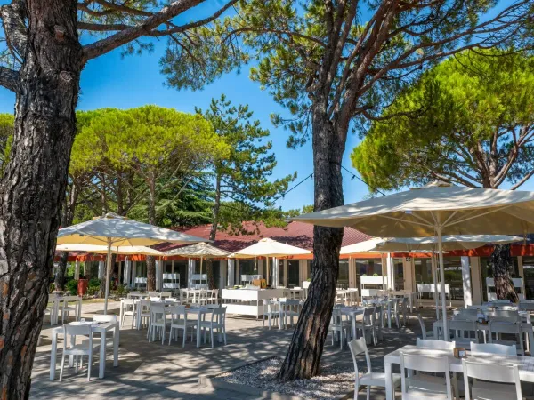 Taras z cieniem na kempingu Roan Marina Julia Camping Village.