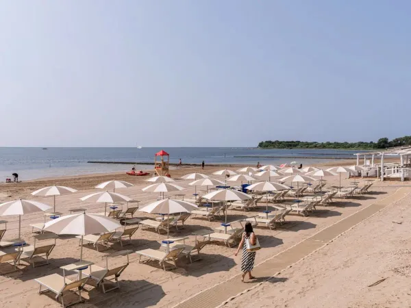 Piaszczysta plaża z leżakami i parasolami na kempingu Roan Tenuta Primero.
