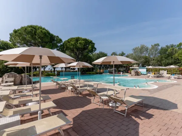 Leżaki przy basenie na kempingu Roan Tenuta Primero.