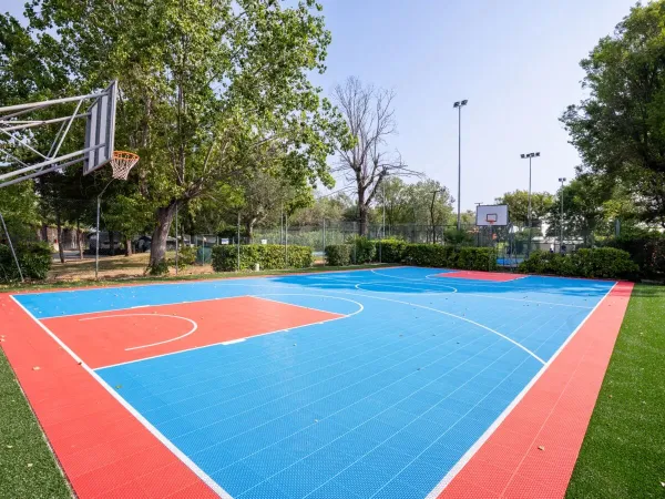 Wielofunkcyjne boisko sportowe na kempingu Roan Tanuta Primero.