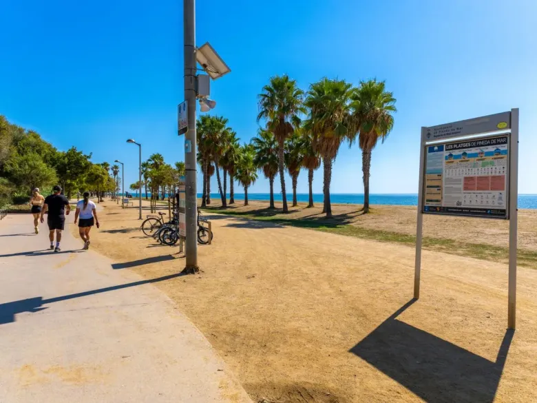 Plaża przy kempingu Roan Caballo de Mar.