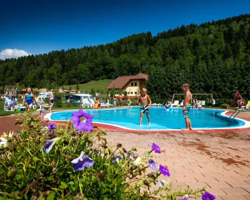 Przegląd basenu na kempingu Roan Bella Austria.