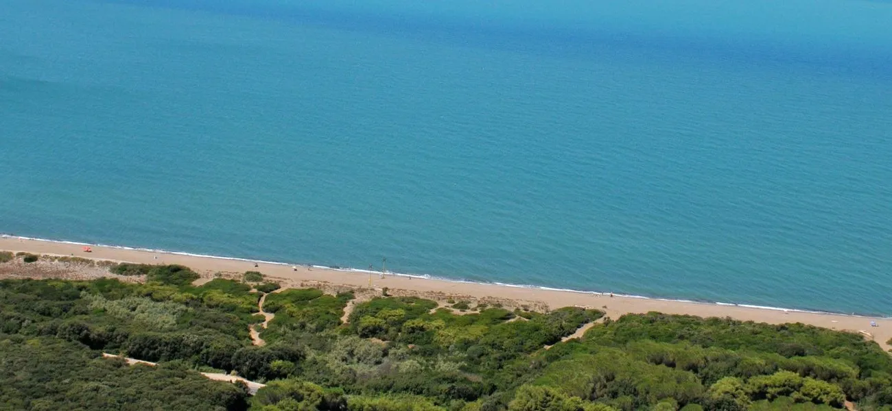 Kempingi w Bibbonie / Marina di Bibbona