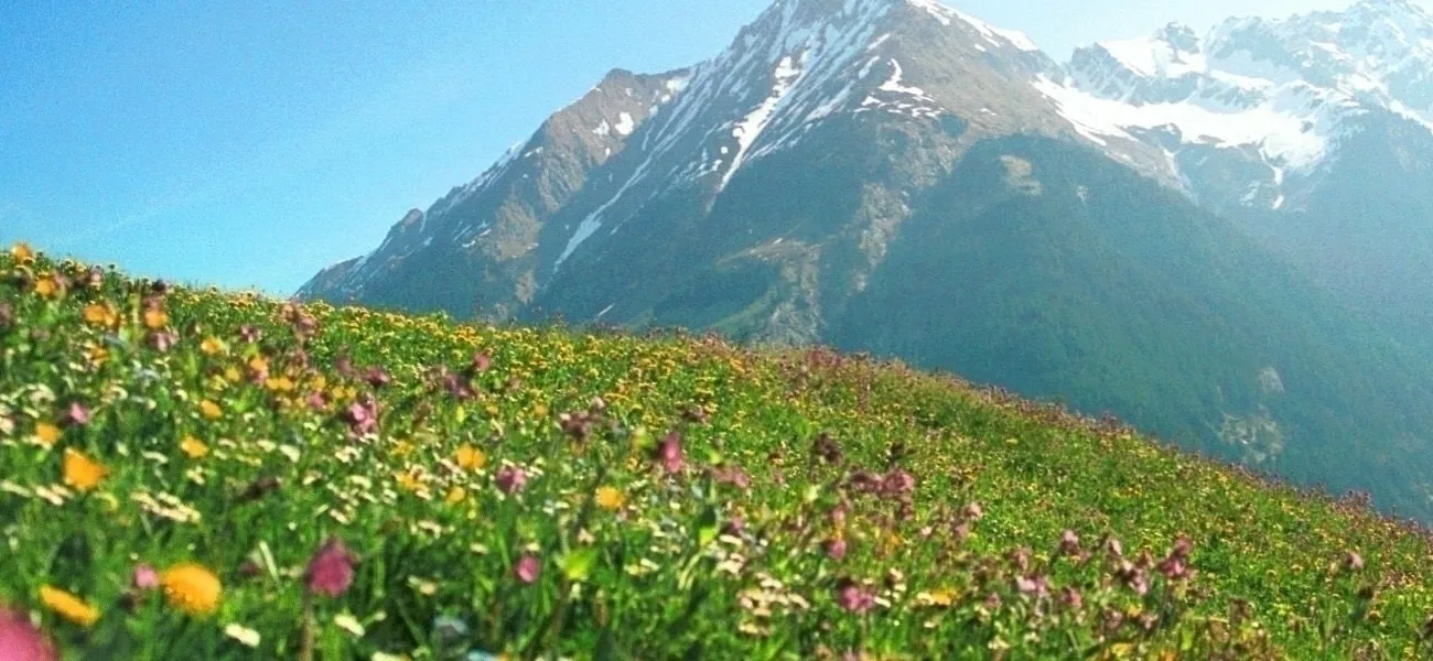 Kemping Austria z basenem