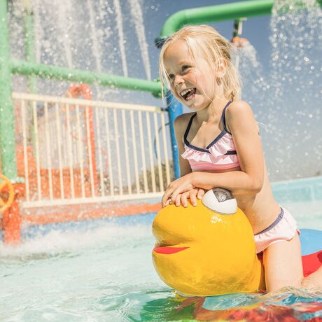 Coraz więcej kempingów w Holandii!