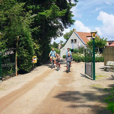 Nasze campingi we Fryzji