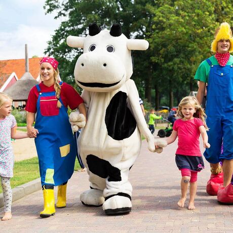 Nasz camping w Achterhoek