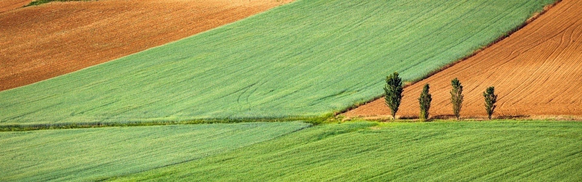 Małe kempingi we Włoszech